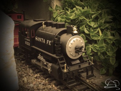 Mr. DAPs’ Railway – Spring Has Sprung!