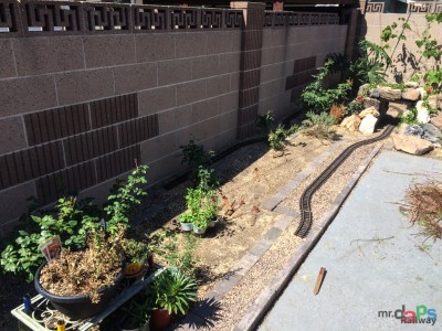 Mr. DAPs Railway – Jacaranda Tree Removal