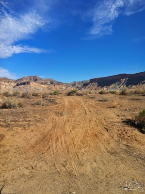 Success is an action not a destination.